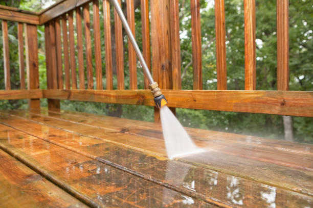 Best Patio and Deck Pressure Washing  in Craig, AK